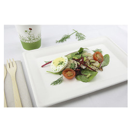 Teller Rect. Zuckerrohr Weiß 200x280mm (500 Stück)