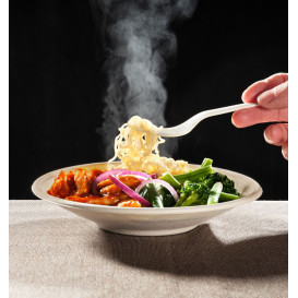 Sugarcane Bowl Bagasse Noodle Natural 710ml (50 Units) 