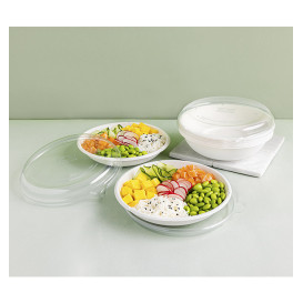 Sugarcane Bowl Bagasse Noodle White 470ml (50 Units) 