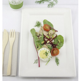 Tablett Zuckerrohr Weiß 200x280mm (320 Stück)