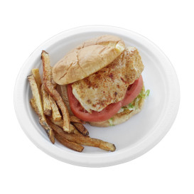 Prato Cana-de-açúcar Bagaço Branco Ø23 cm (50 Uds)