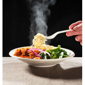 Sugarcane Bowl Bagasse Noodle White 470ml (400 Units)