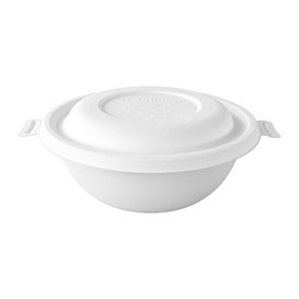 Papieren servet pistache 25x25cm 2C (100 stuks)