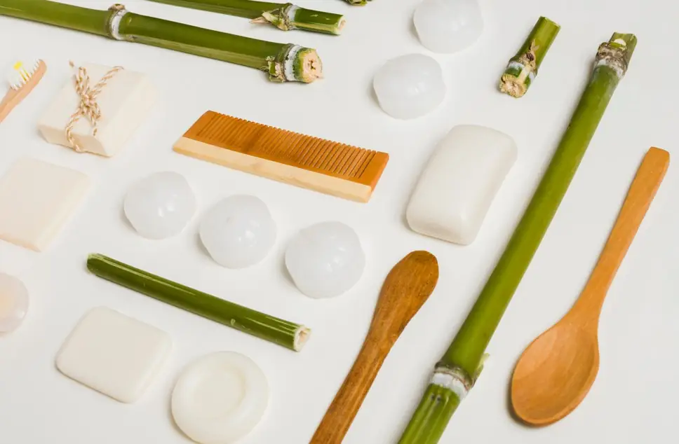 Die Zuckerrohrverpackungen: Stabil & Nachhaltig