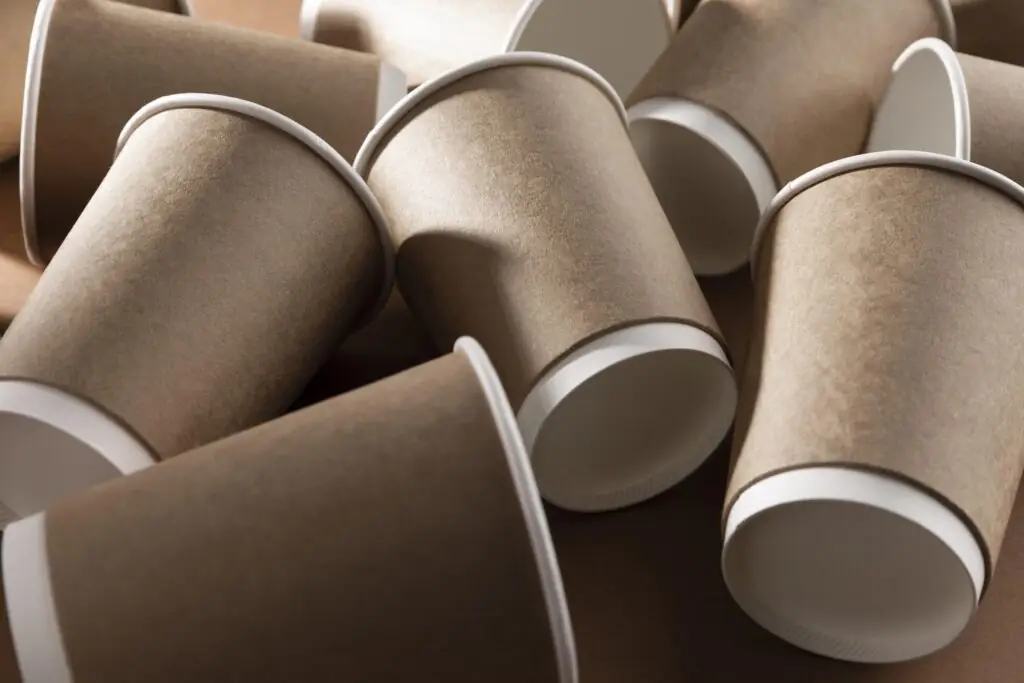 Emballages en fibre moulée, une solution durable et recyclable pour le secteur alimentaire.