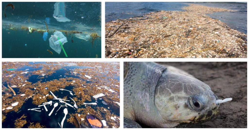 The laying of plastics and their impact on the environment