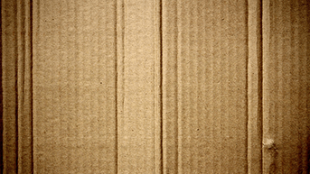 Carton