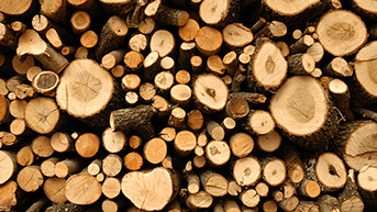 madera